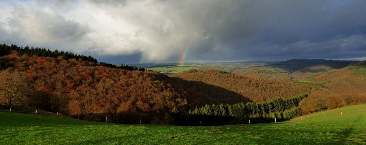 Chamber: Beim Naturschutz hört der Spaß auf