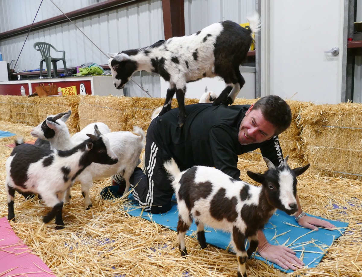 urn_binary_dpa_com_20090101_180502-90-006567-FILED