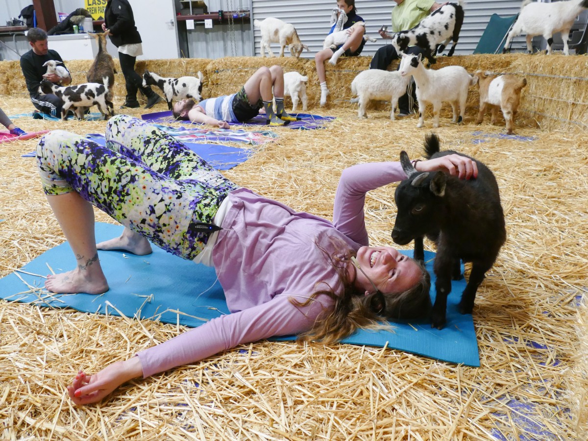 urn_binary_dpa_com_20090101_180502-90-006573-FILED