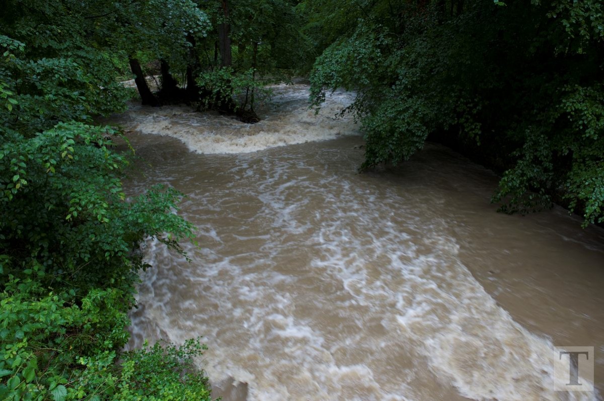 01.06.2018_Editpress_439735