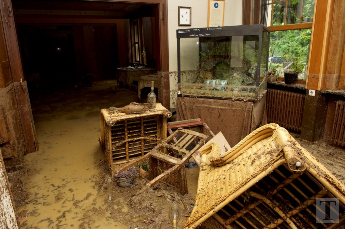 01.06.2018_Editpress_439771