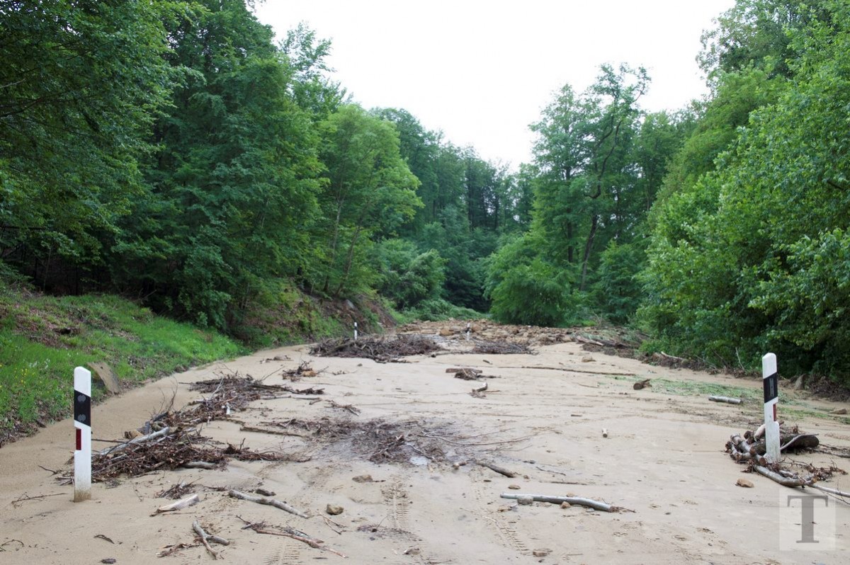 01.06.2018_Editpress_439877