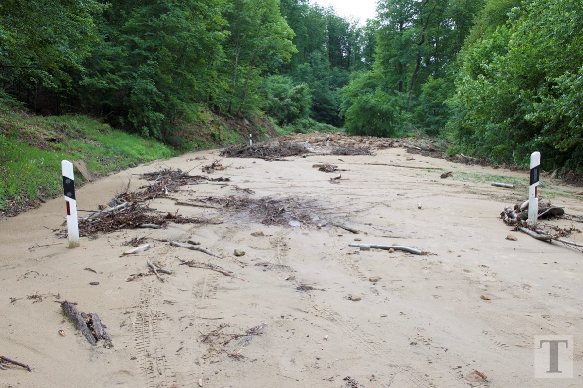 01.06.2018_Editpress_439878