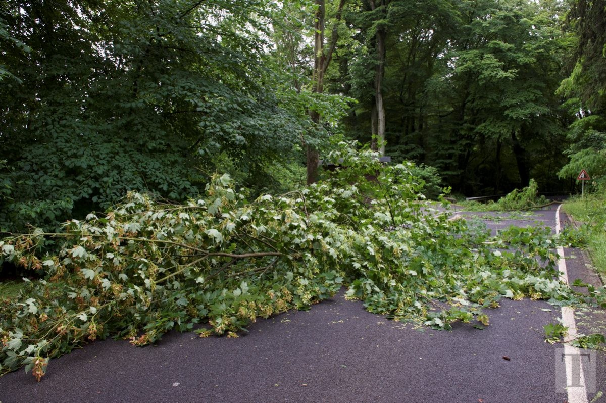 01.06.2018_Editpress_439881