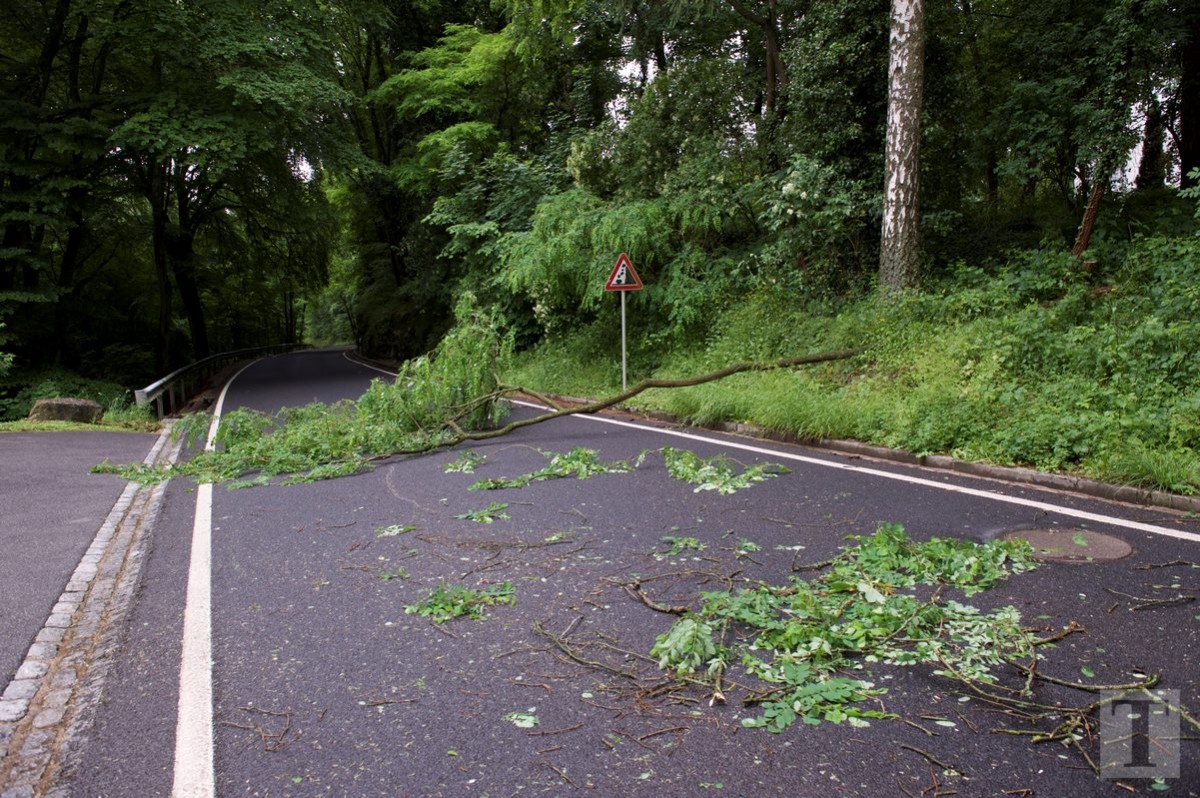 01.06.2018_Editpress_439882