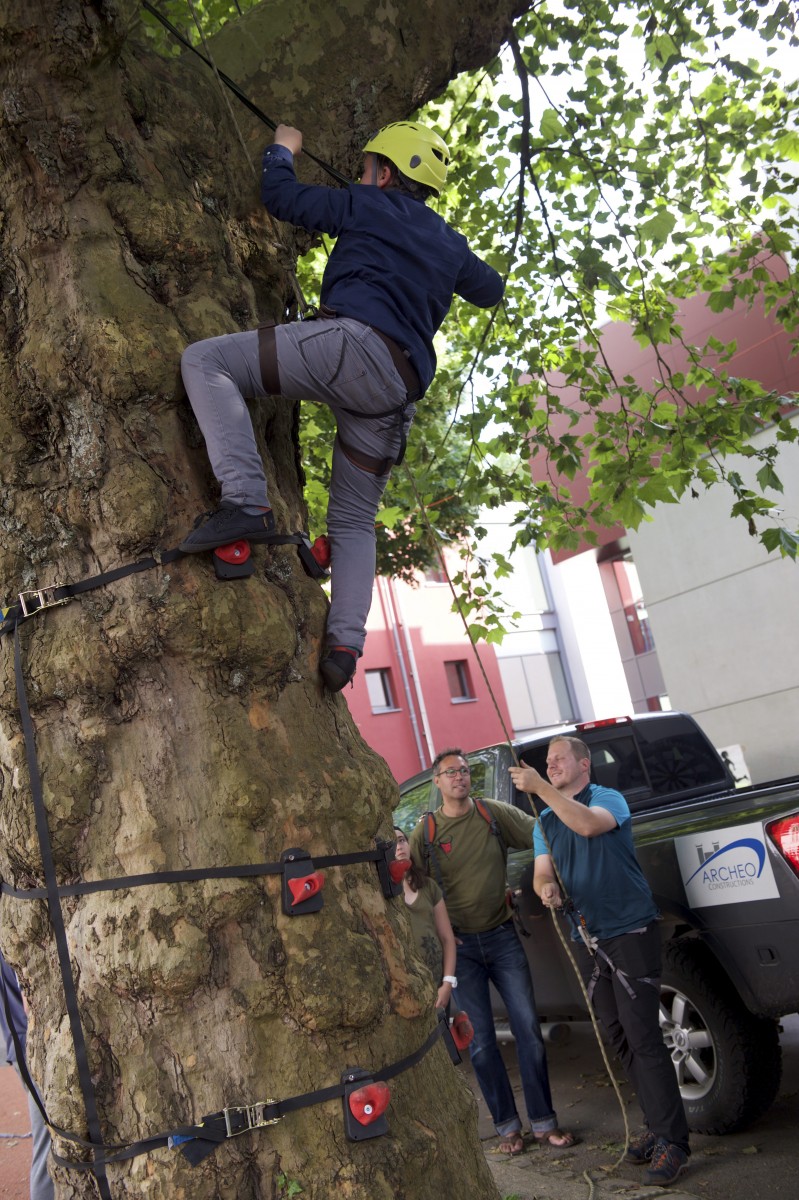 Foto: Fabrizio Pizzolante