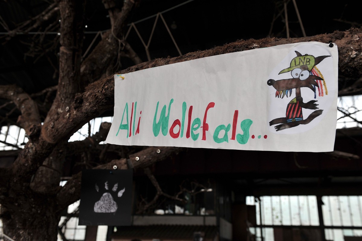 15.06.2018_Editpress_442563