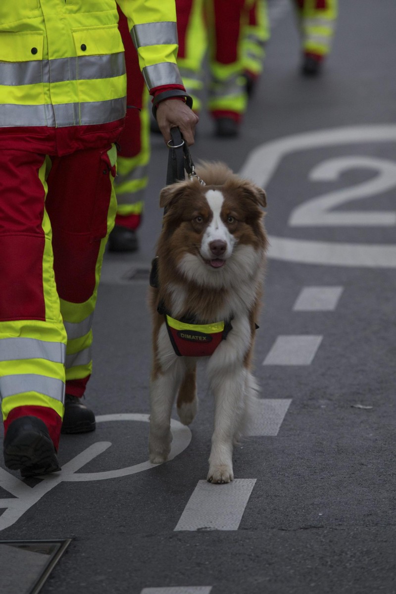 23.06.2018_Editpress_444172