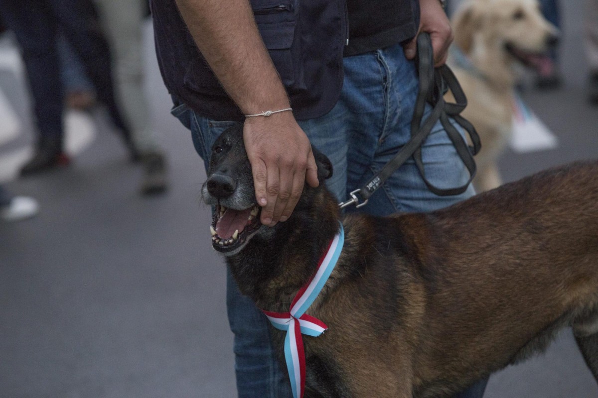 23.06.2018_Editpress_444192