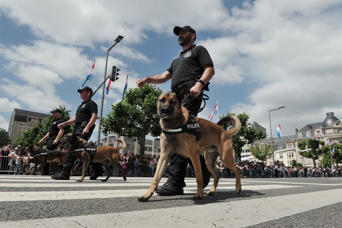 23.06.2018_Editpress_444439