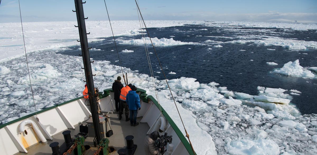 Plastikmüll erreicht die letzte Wildnis
