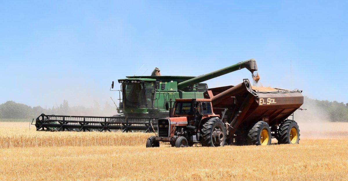 Afrikas zukünftigen Landwirten zuhören