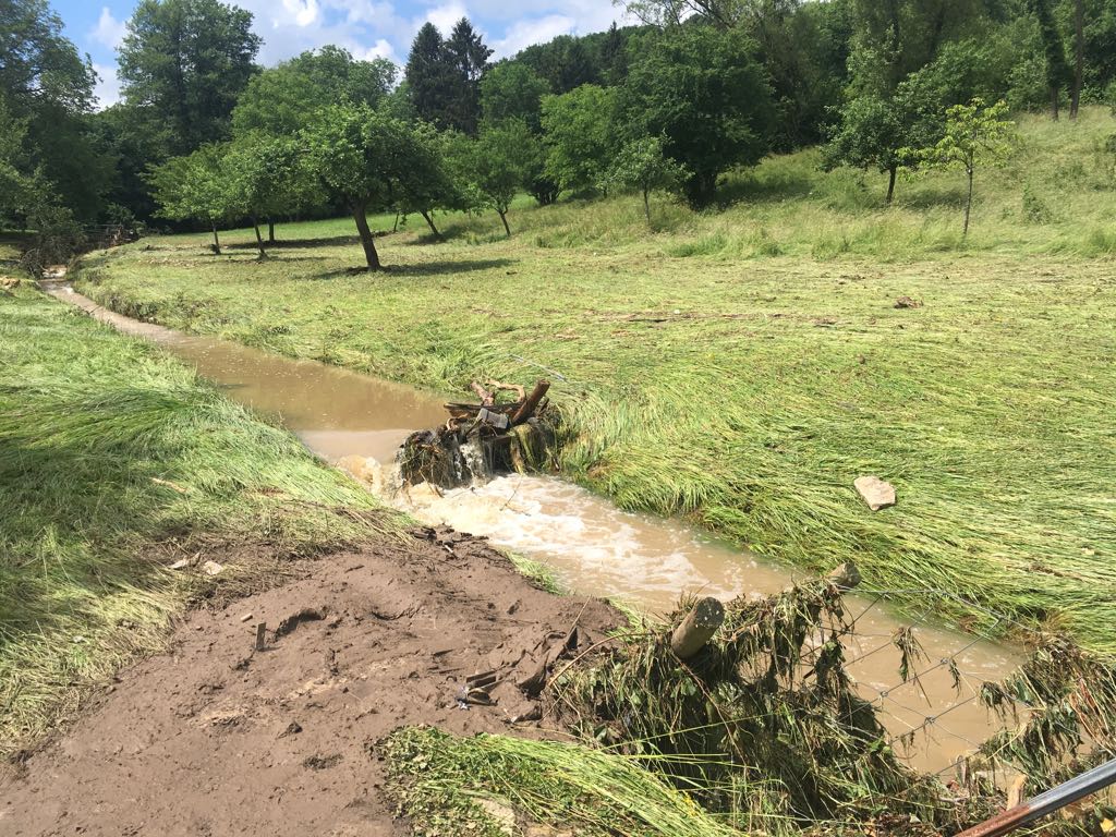 WhatsApp Image 2018-06-02 at 13.42.41(2)