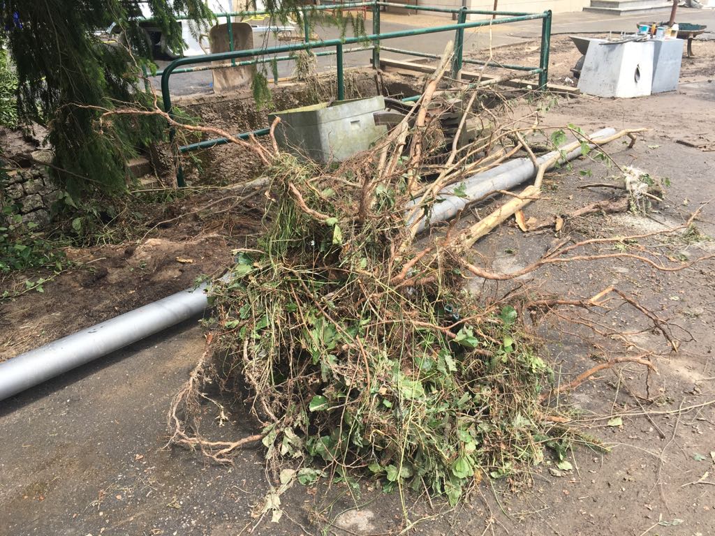 WhatsApp Image 2018-06-02 at 13.42.41(3)