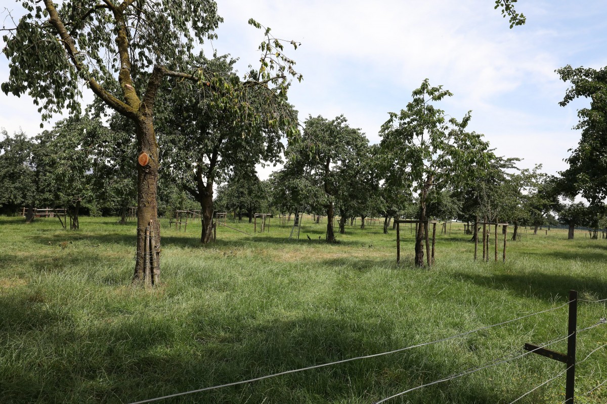 04.07.2018_Editpress_447084