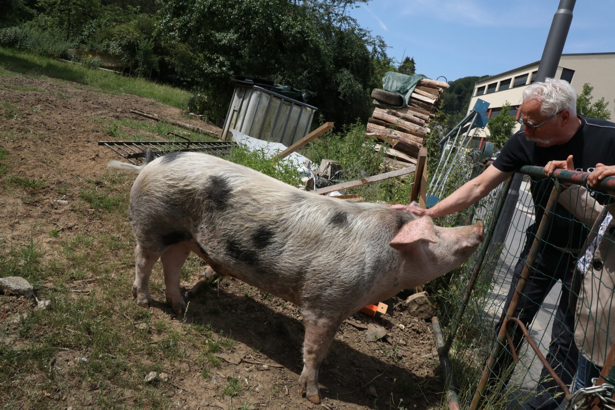 04.07.2018_Editpress_447101