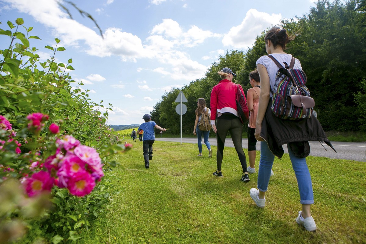17.06.2018_Editpress_442897