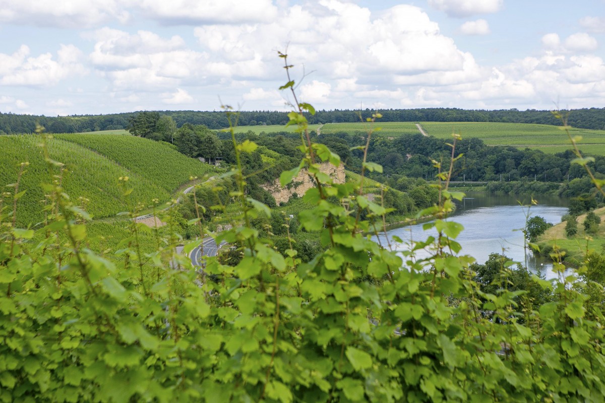 17.06.2018_Editpress_442963