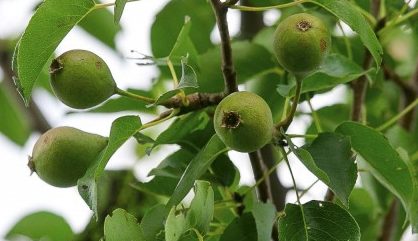 Foto: Editpress/Tania Feller