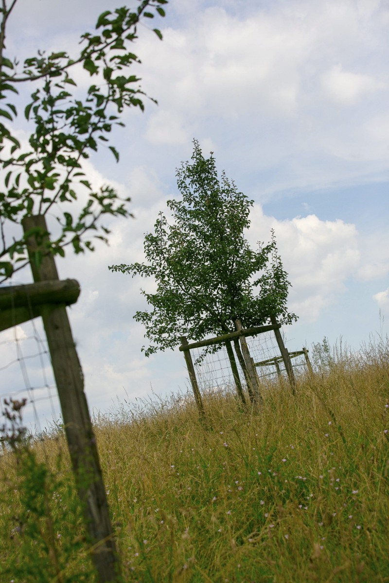 29.06.2018_Editpress_445982