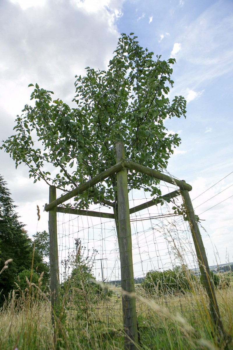 Foto: Editpress/Tania Feller