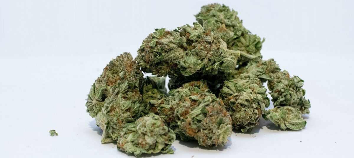 Italiens versehentlicher Cannabis-Boom