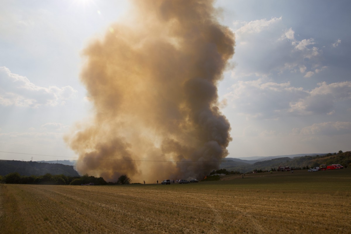 Foto: Editpress/Anne Lommel