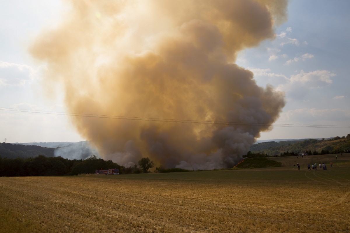 Foto: Editpress/Anne Lommel