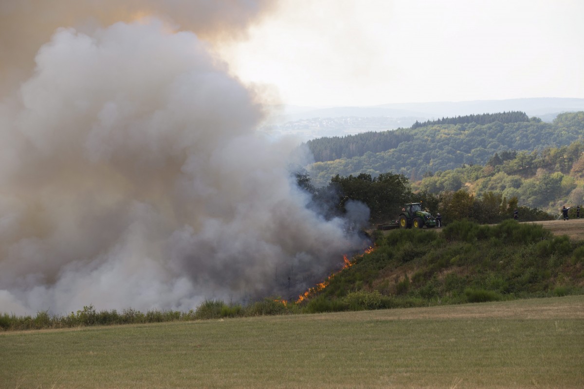 Foto: Editpress/Anne Lommel