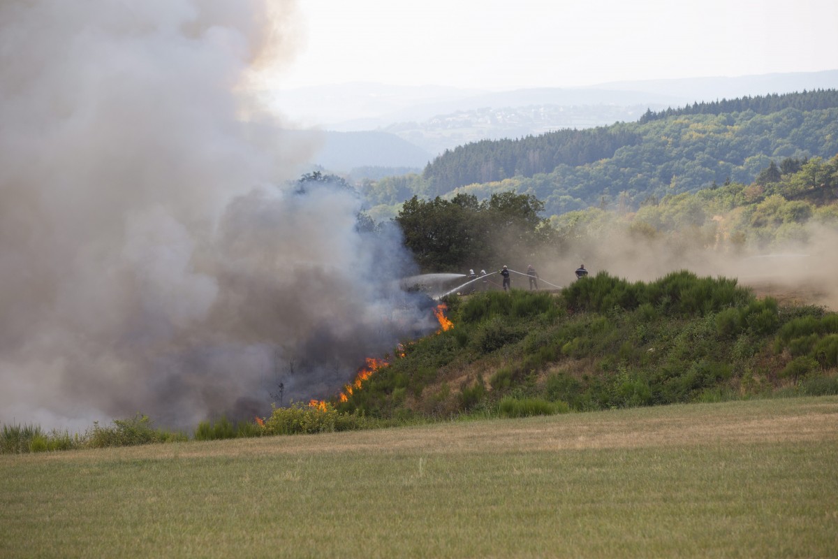 Foto: Editpress/Anne Lommel