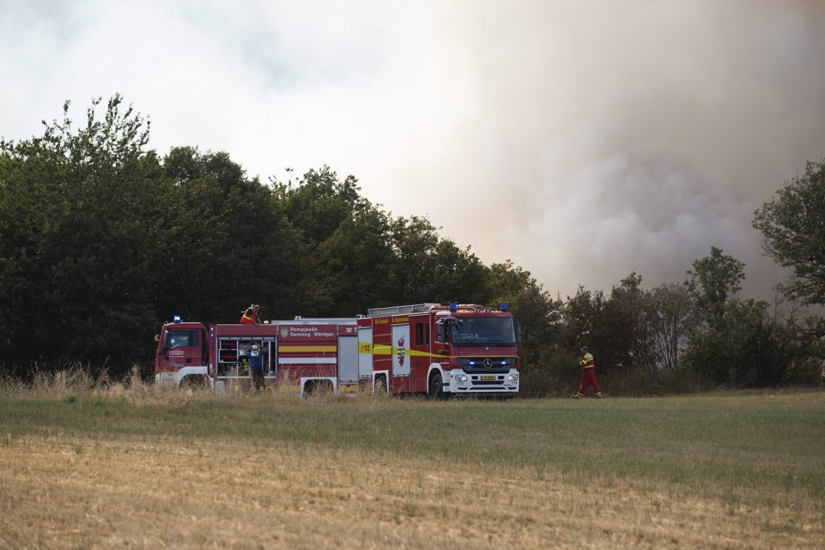 Foto: Editpress/Anne Lommel