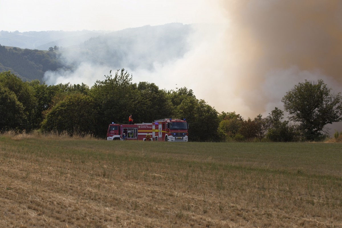 Foto: Editpress/Anne Lommel