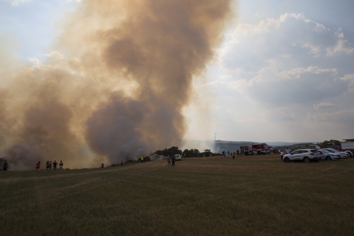 Foto: Editpress/Anne Lommel