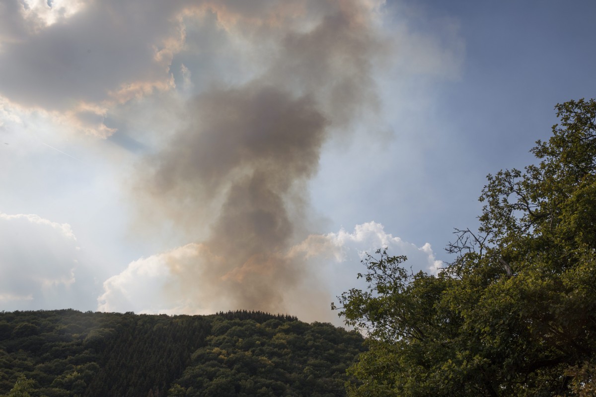 Foto: Editpress/Anne Lommel