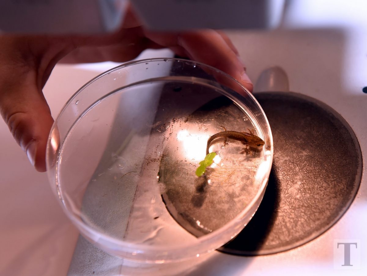 07.08.2018_Editpress_452809