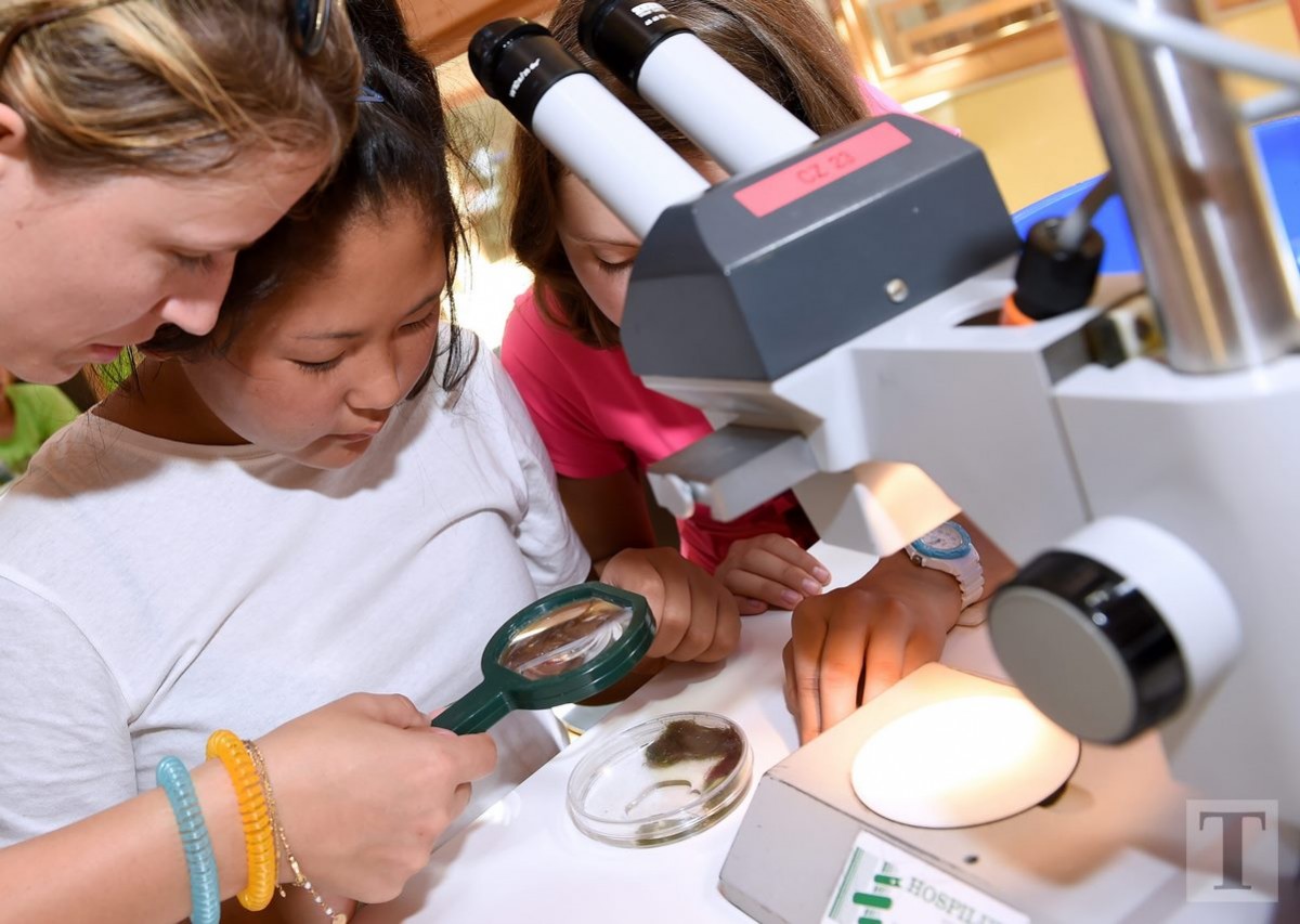 07.08.2018_Editpress_452810