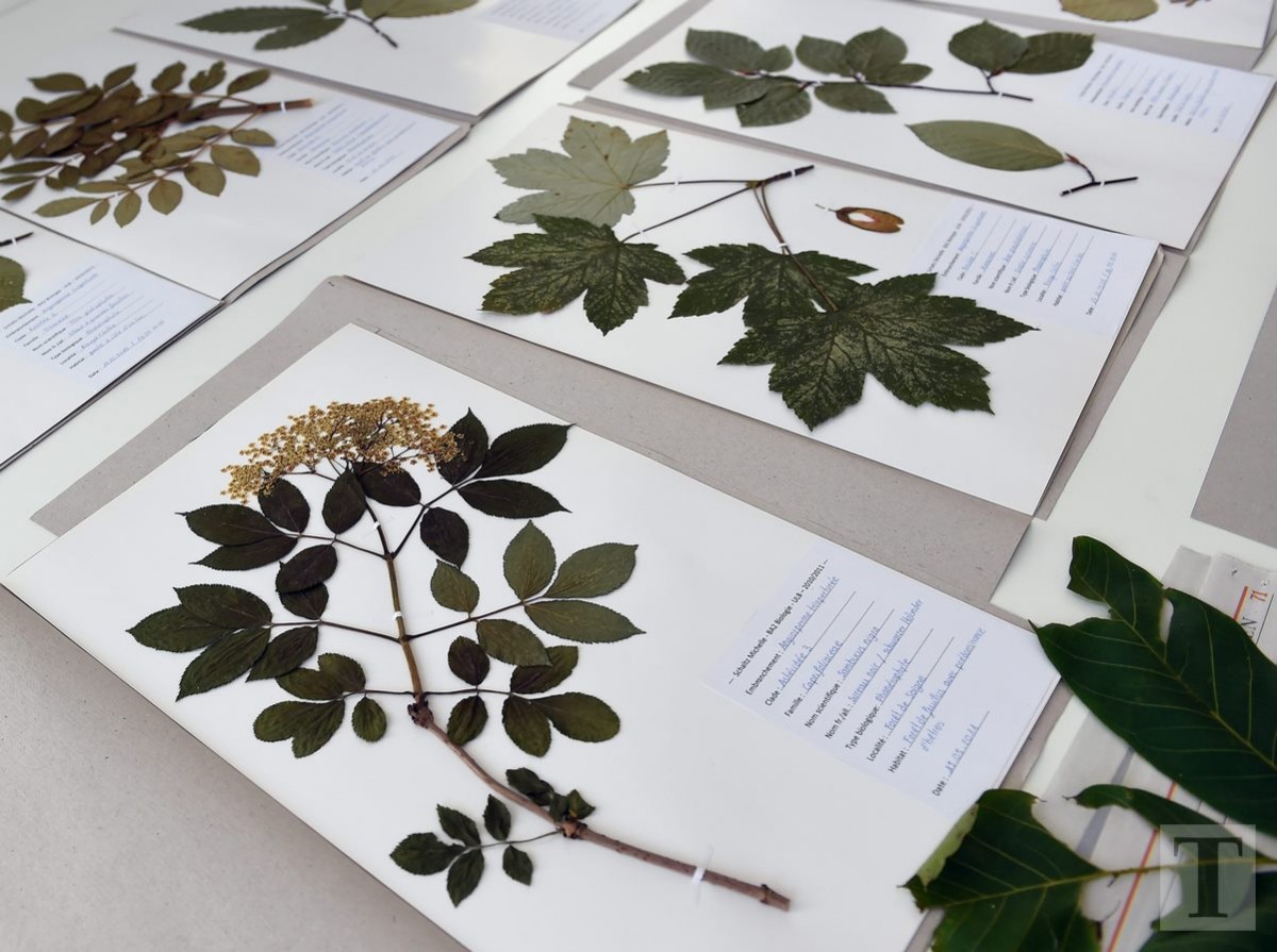 07.08.2018_Editpress_452814