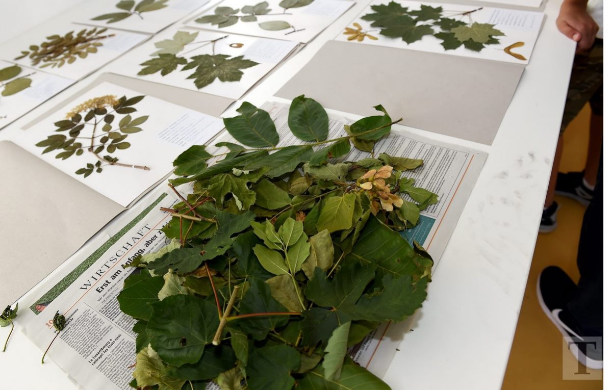 07.08.2018_Editpress_452815