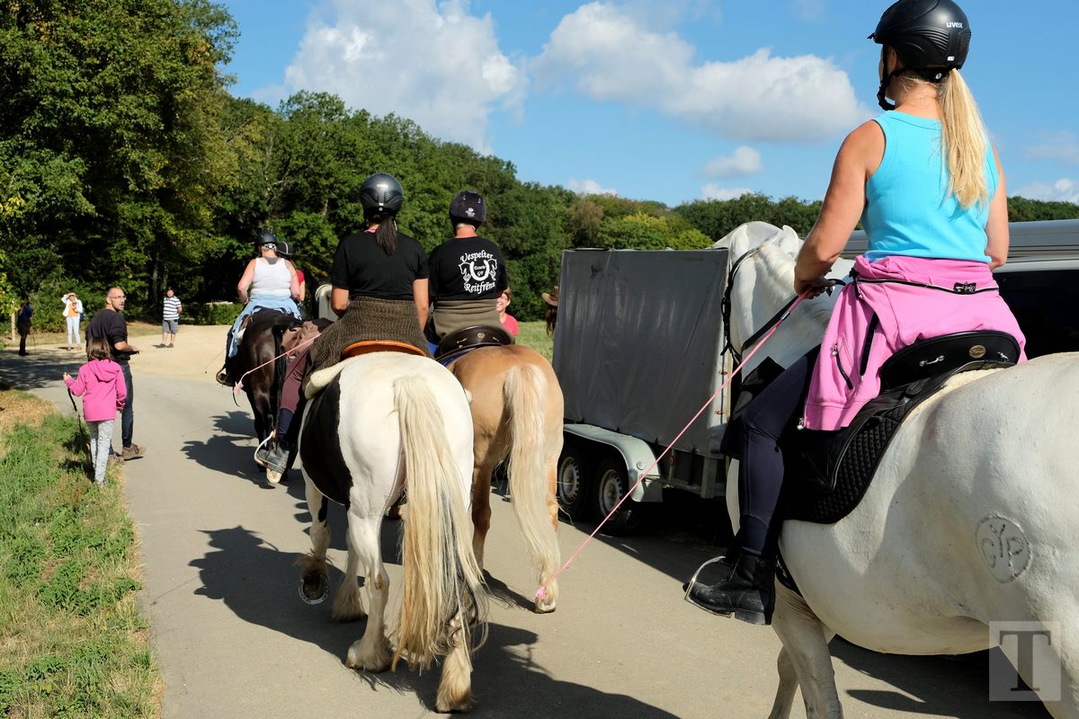 11.08.2018_Editpress_453119