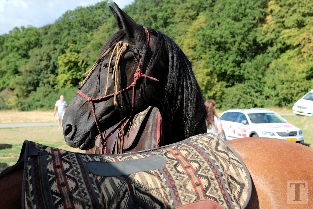 11.08.2018_Editpress_453133