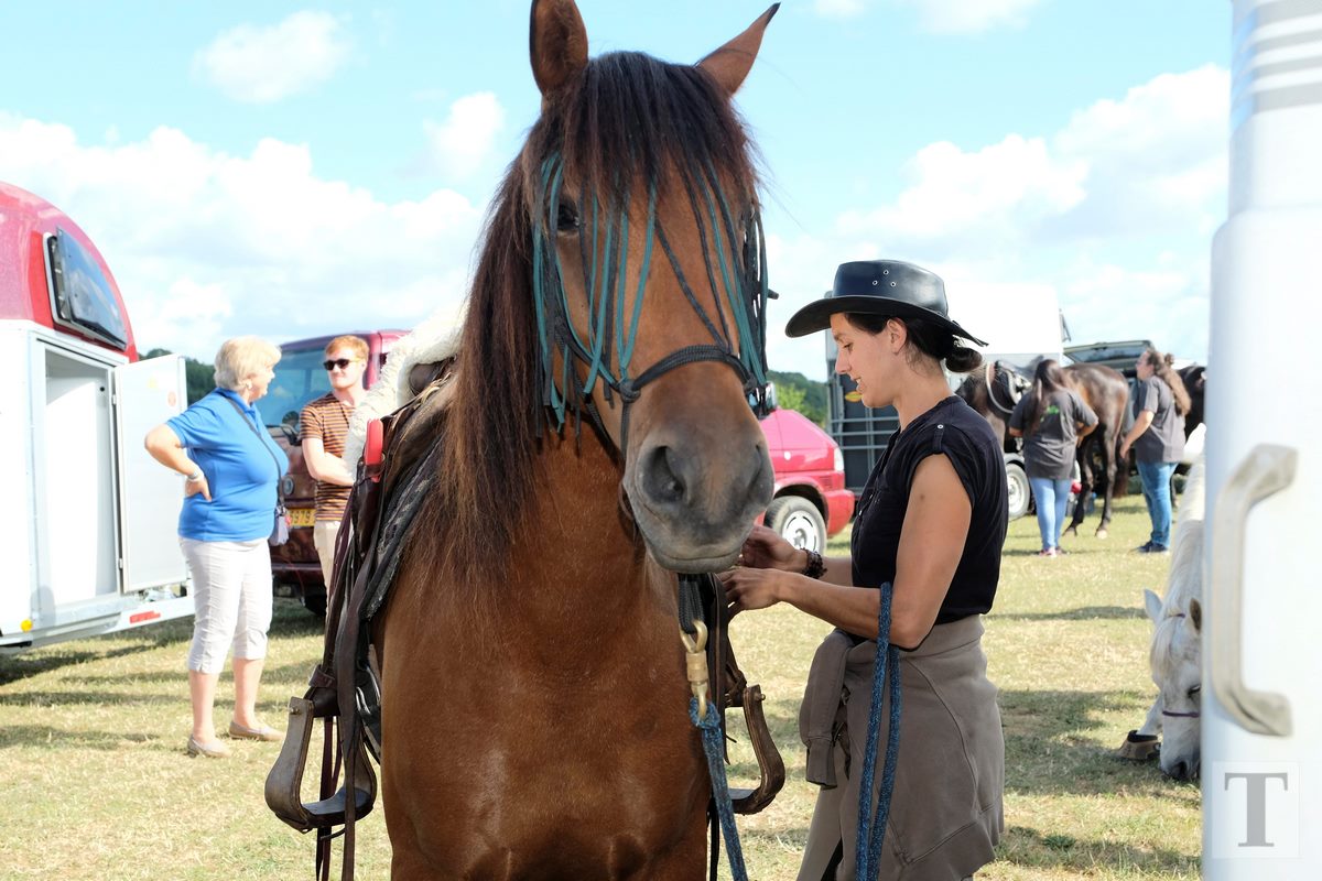 11.08.2018_Editpress_453139