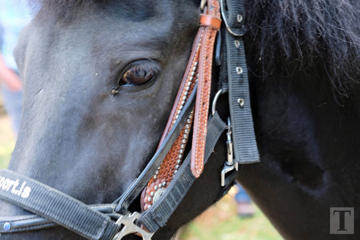 11.08.2018_Editpress_453146