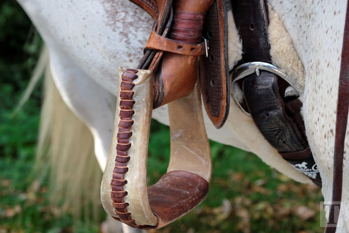 11.08.2018_Editpress_453147