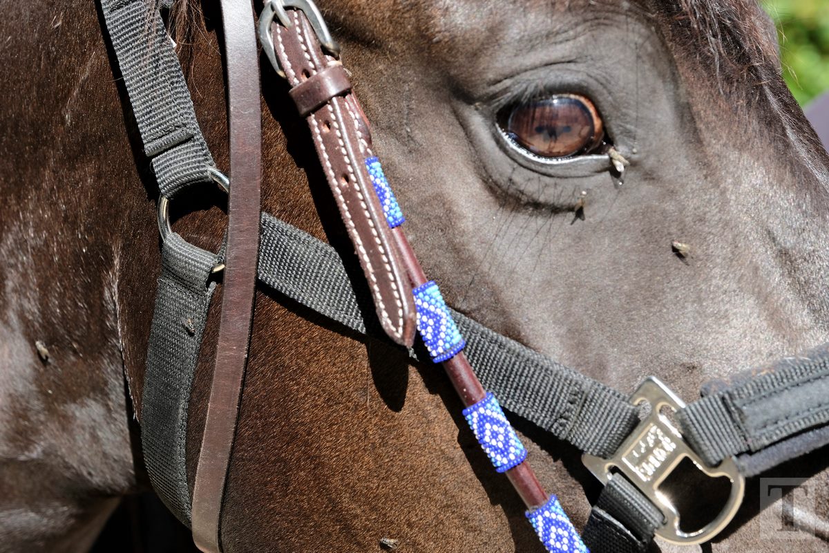 11.08.2018_Editpress_453149