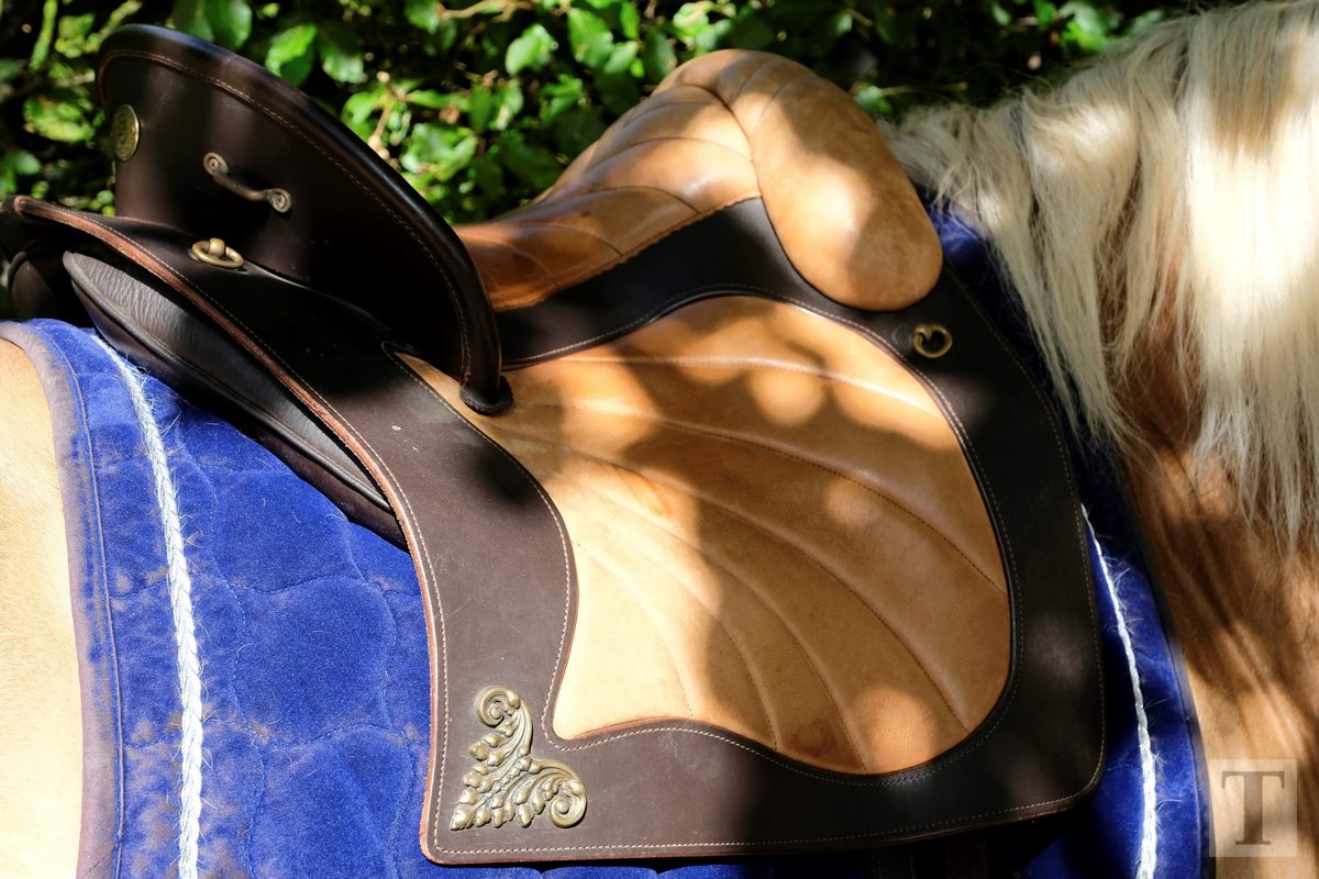 11.08.2018_Editpress_453152