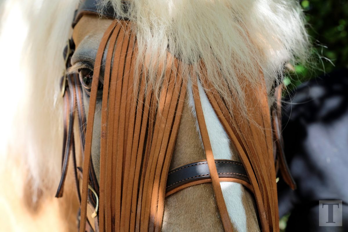 11.08.2018_Editpress_453153