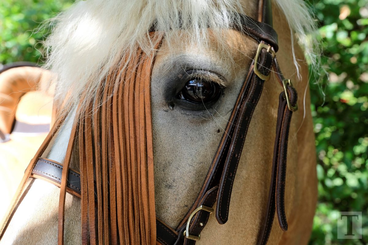 11.08.2018_Editpress_453154