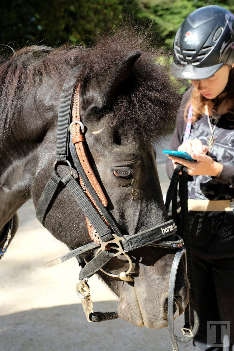 11.08.2018_Editpress_453155