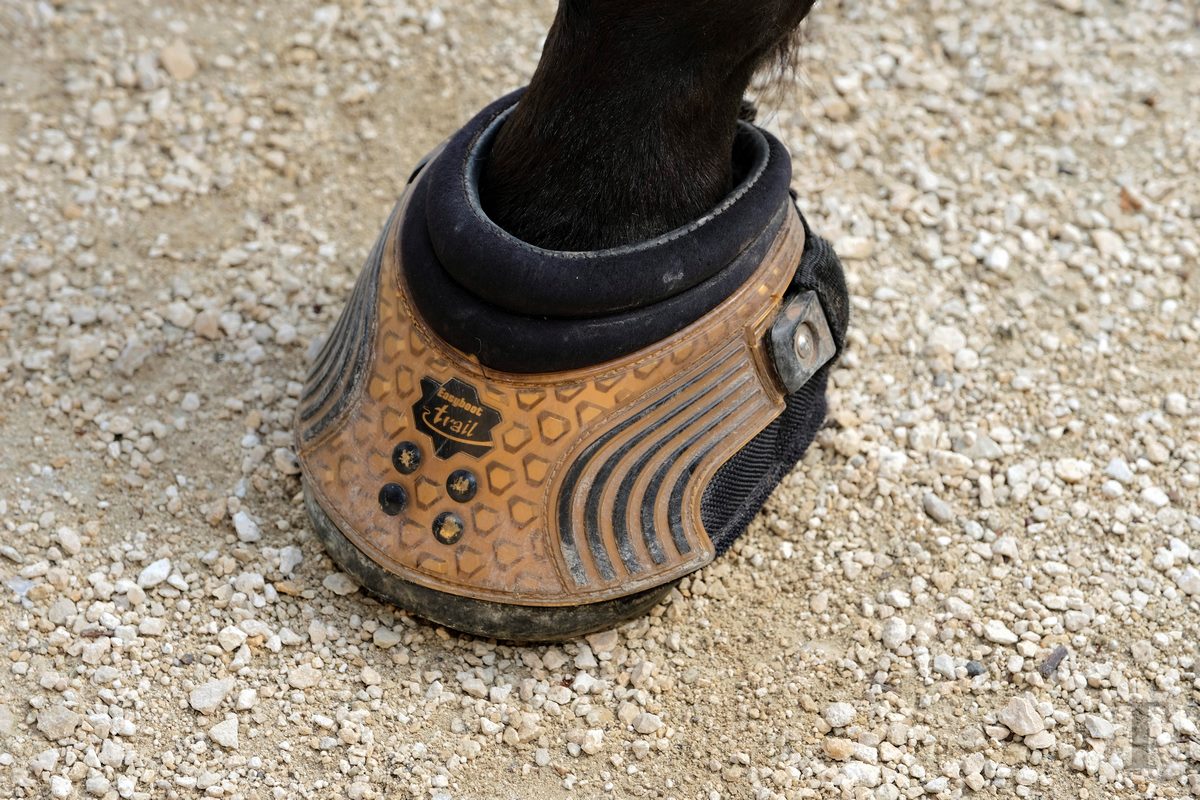 11.08.2018_Editpress_453156