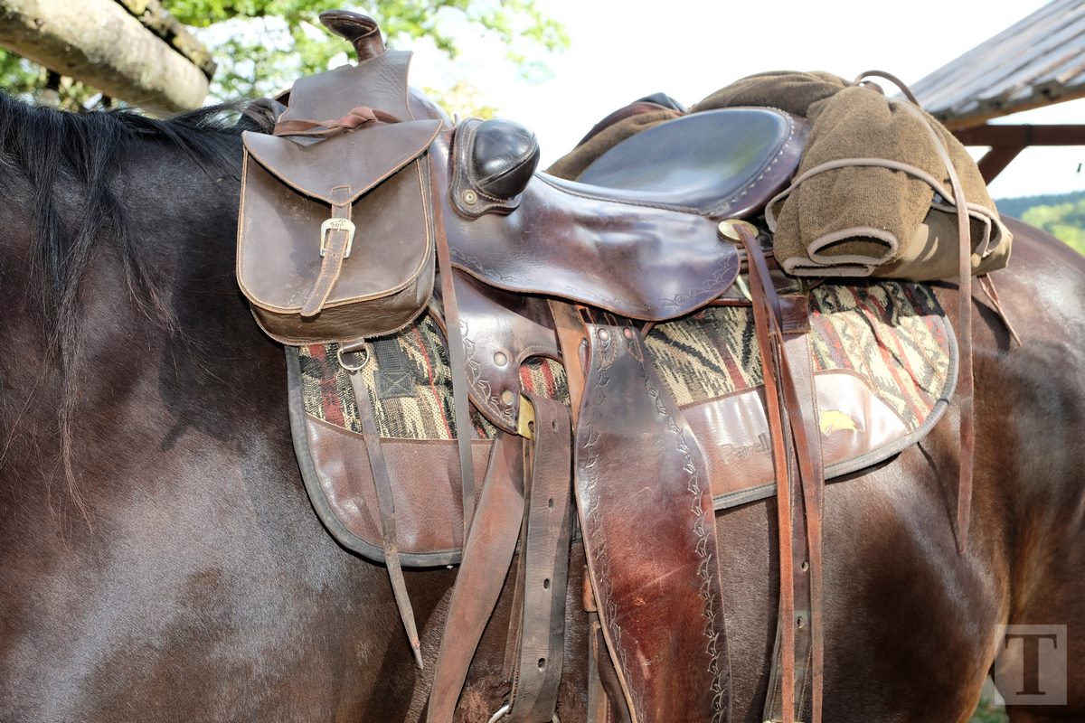 11.08.2018_Editpress_453163